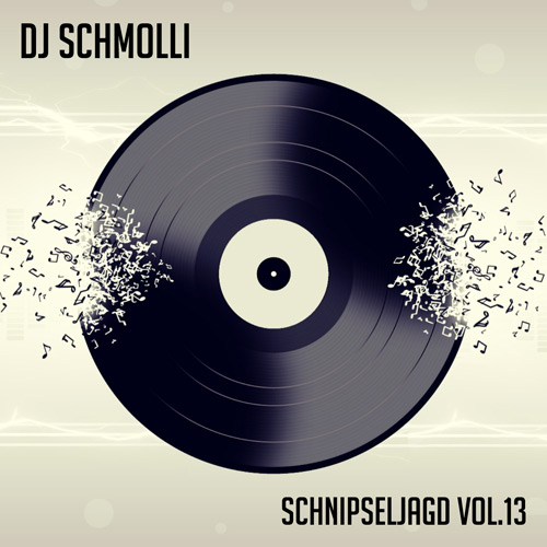 00.Schnipseljagd Vol.13 (500)